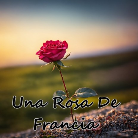 Una Rosa de Francia ft. Julio Miguel | Boomplay Music