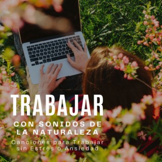 Trabajar con Sonidos de la Naturaleza: Canciones para Trabajar sin Estrés o Ansiedad