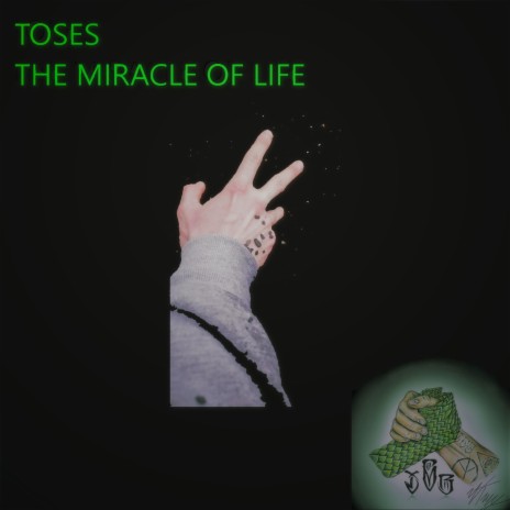 The Miracle Of Life | Boomplay Music