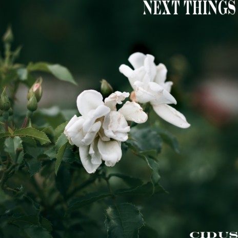 Next Things | Boomplay Music