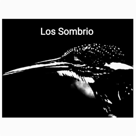 Los Sombrio | Boomplay Music