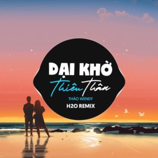 Dại Khờ Thiêu Thân Remix (EDM)