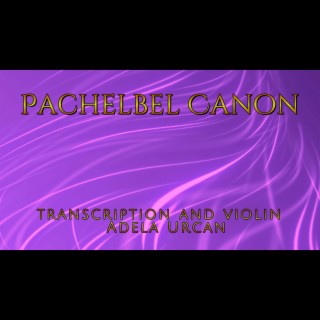 Pachelbel Canon in D (VIOLIN ensemble)