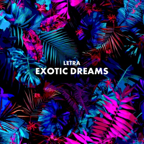 Exotic Dreams | Boomplay Music
