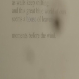 house of leaves