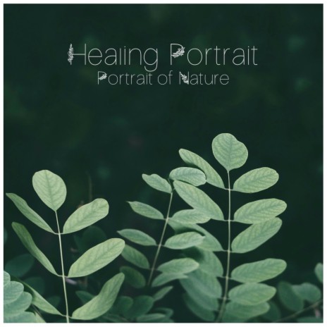 Healing Portrait | Boomplay Music