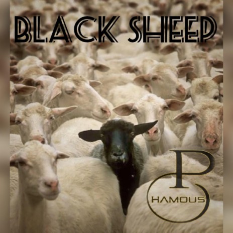 Black Sheep | Boomplay Music