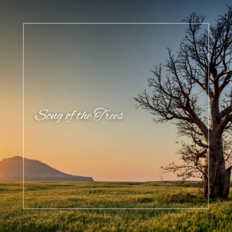 Song of the Trees ft. Spiritual Journey | Boomplay Music