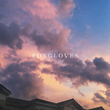 Foxgloves (feat. Bluknight) | Boomplay Music
