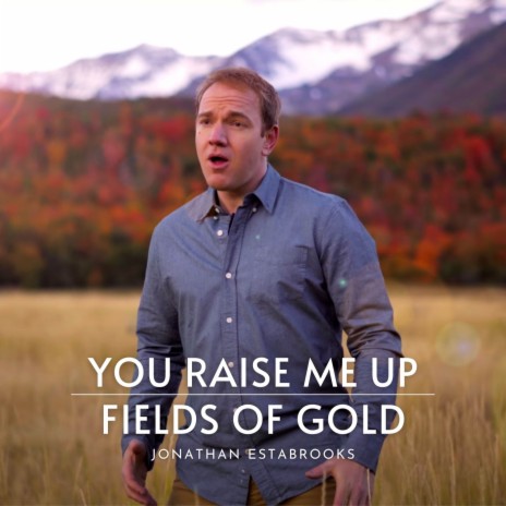 You Raise Me Up / Fields of Gold | Boomplay Music