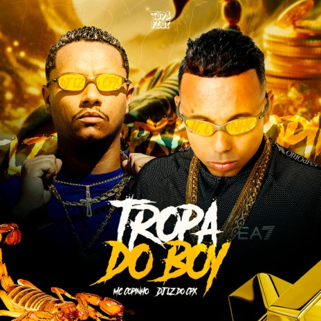 Essa É a Tropa do Boy ft. DJ LZ do Cpx & DJ Edy Da Penha | Boomplay Music