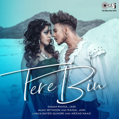 Tere Bin (Cover) | Boomplay Music