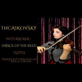 Tchaikovsky -Nutcracker (Dance of the Reed transposed for violins)