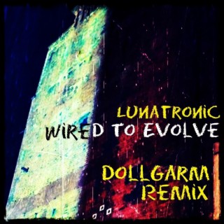 Wired To Evolve - An Ambient Mix (DollGarm Remix)
