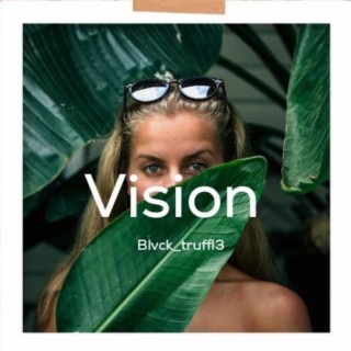 Vision