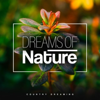 Dreams of Nature