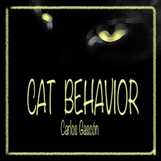 Cat Behavior