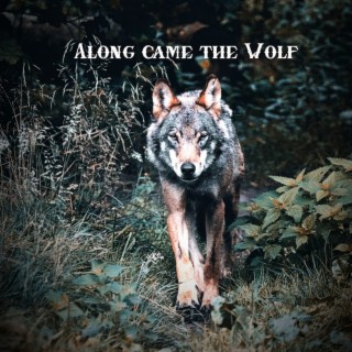 Along came the Wolf