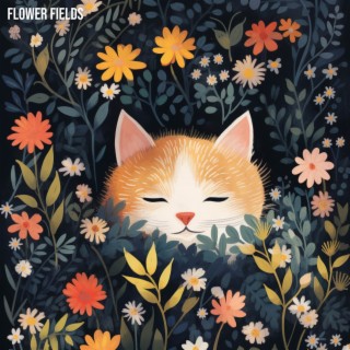 Flower Fields