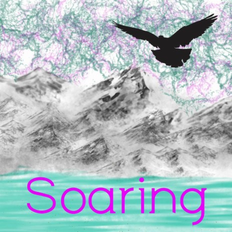 Soaring | Boomplay Music