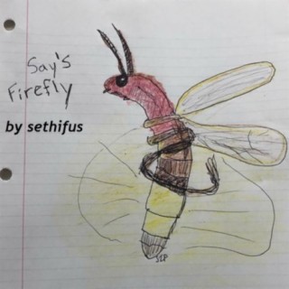 Say's Firefly