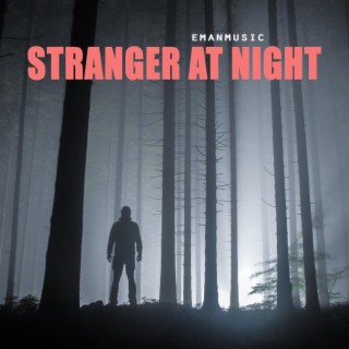 Stranger At Night