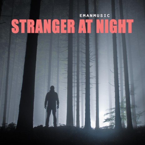 Stranger At Night