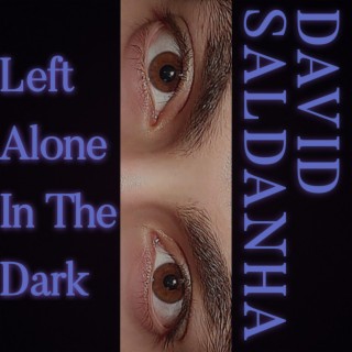 Left Alone In The Dark