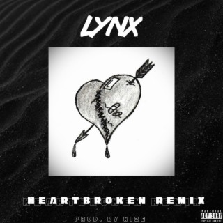 Heartbroken remix