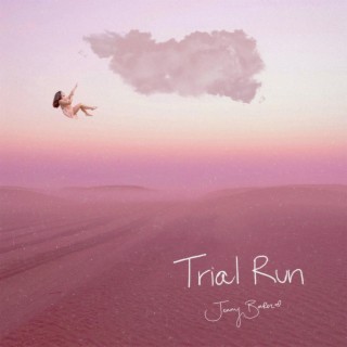 Trial Run lyrics | Boomplay Music
