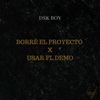 Borré el proyecto x usar FL DEMO