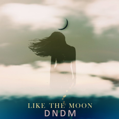 Like the Moon | Boomplay Music