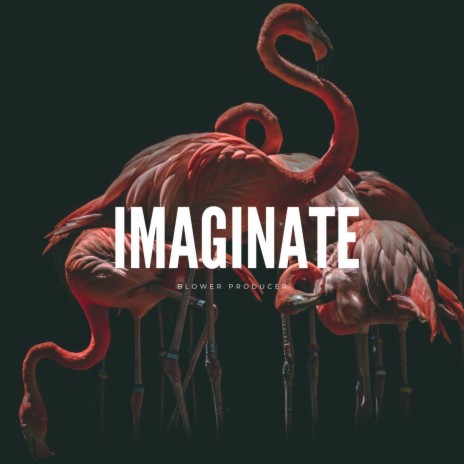 Imaginate | Boomplay Music