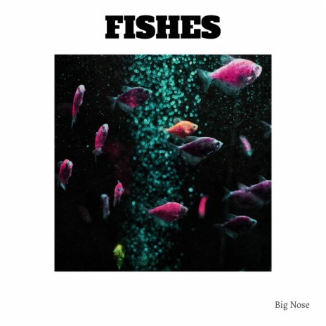 FISHES | Boomplay Music