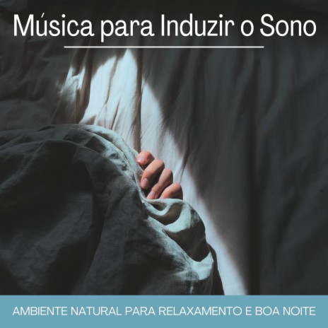 Ciclo Circadiano do Sono | Boomplay Music