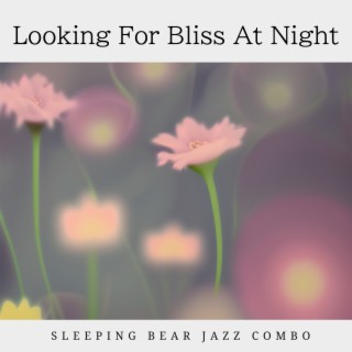 Looking For Bliss At Night