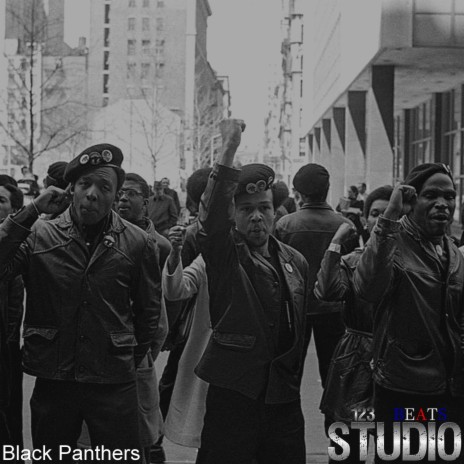 Black Panthers | Boomplay Music