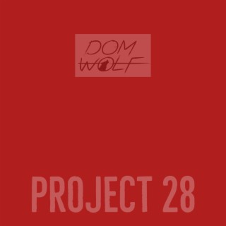 Project 28