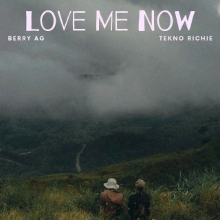 Love Me Now (feat. Tekno Richie)