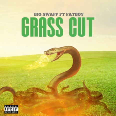 Big swapp Grass Cut ft. Ft Fatboy | Boomplay Music
