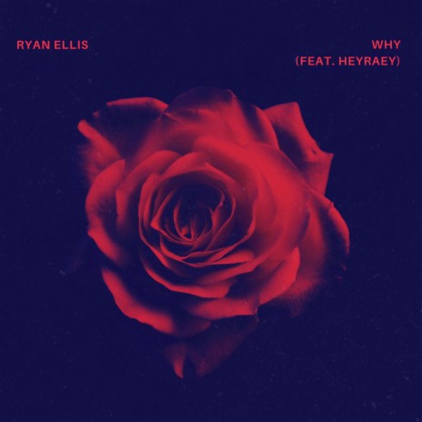 Why (feat. heyraey) | Boomplay Music