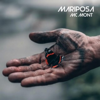 Mariposa lyrics | Boomplay Music