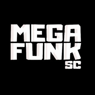 MEGA FUNK VEM COM O BUNDÃO