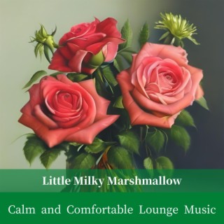 Calm and Comfortable Lounge Music