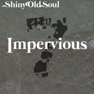 Shiny Old Soul