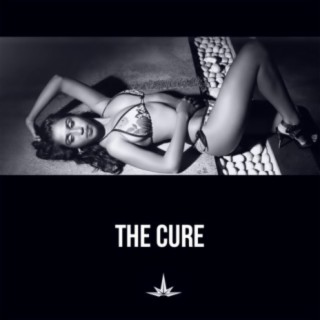 The Cure (feat. TDO)