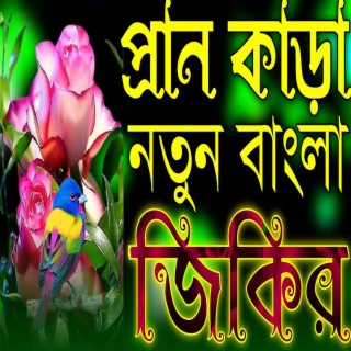 প্রান কাড়া নতুন বাংলা জিকির | Bangla Jikir |