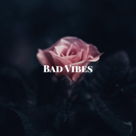 Bad Vibes | Boomplay Music