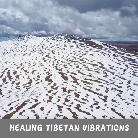 Healing Tibetan Vibrations | Boomplay Music