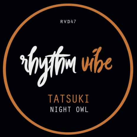 Night Owl (Original Mix) | Boomplay Music